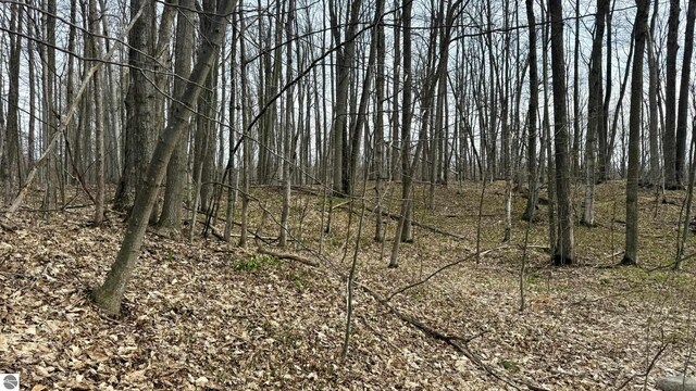 LOT60 Val Disere Dr, Bellaire, MI 49615