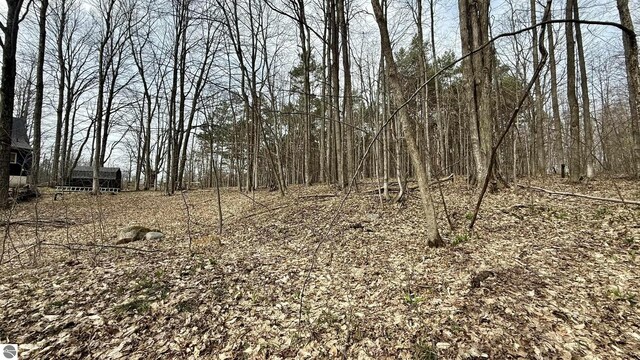 LOT60 Val Disere Dr, Bellaire, MI 49615