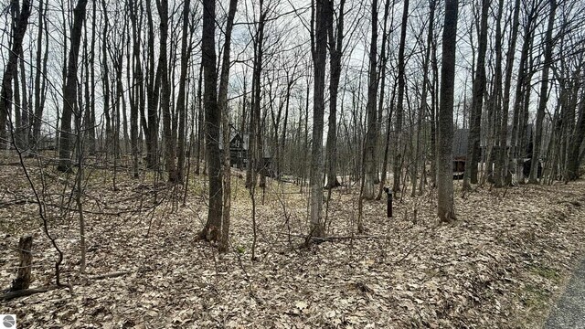 LOT60 Val Disere Dr, Bellaire, MI 49615