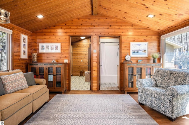 living area featuring wooden walls, lofted ceiling, and a healthy amount of sunlight