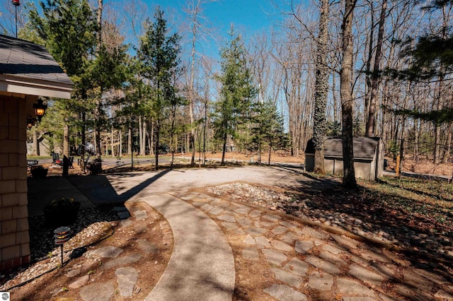 view of yard featuring concrete driveway