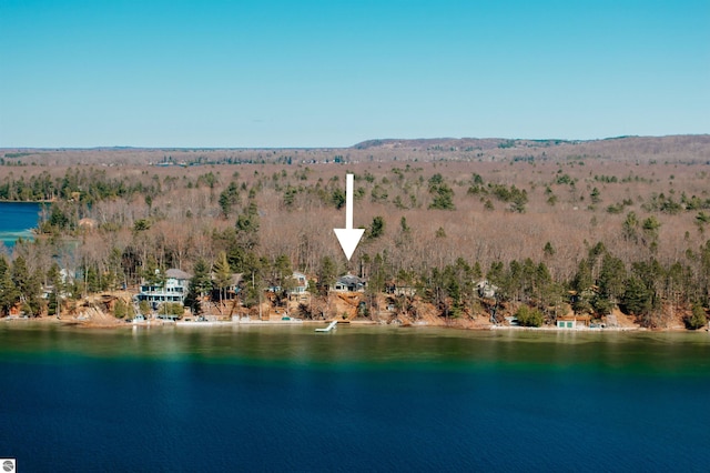 bird's eye view with a view of trees and a water view