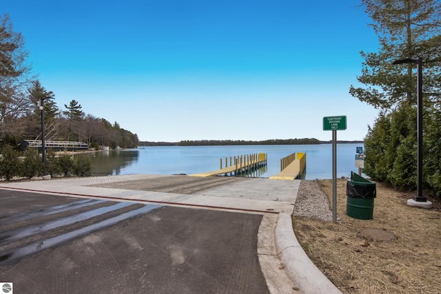 dock area with a water view