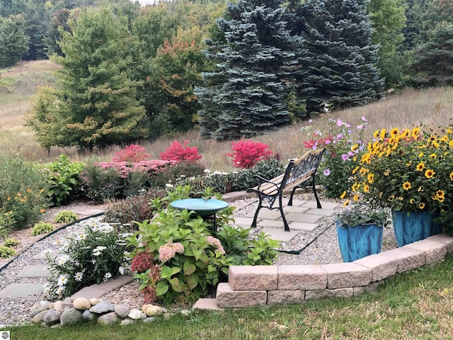 view of yard featuring a patio area