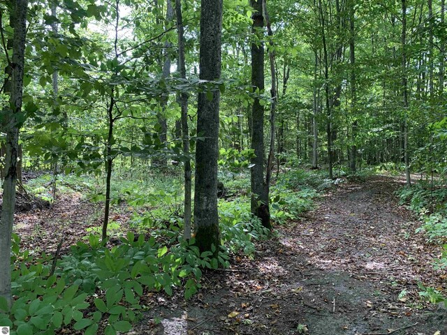 00 Keiser Rd, Levering, MI 49755