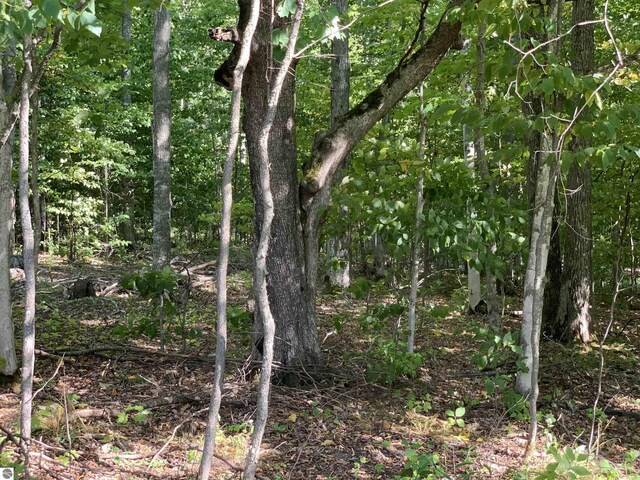 00 Keiser Rd, Levering, MI 49755