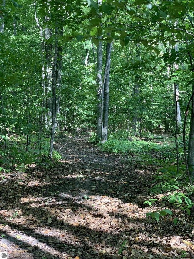 00 Keiser Rd, Levering, MI 49755