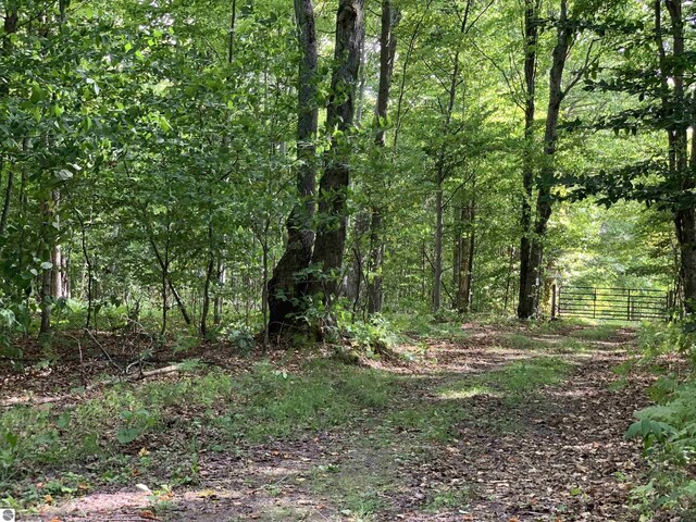 00 Keiser Rd, Levering, MI 49755