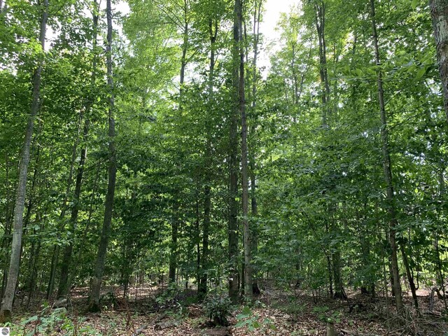 00 Keiser Rd, Levering, MI 49755