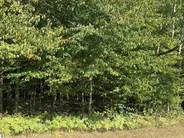 00 Keiser Rd, Levering, MI 49755