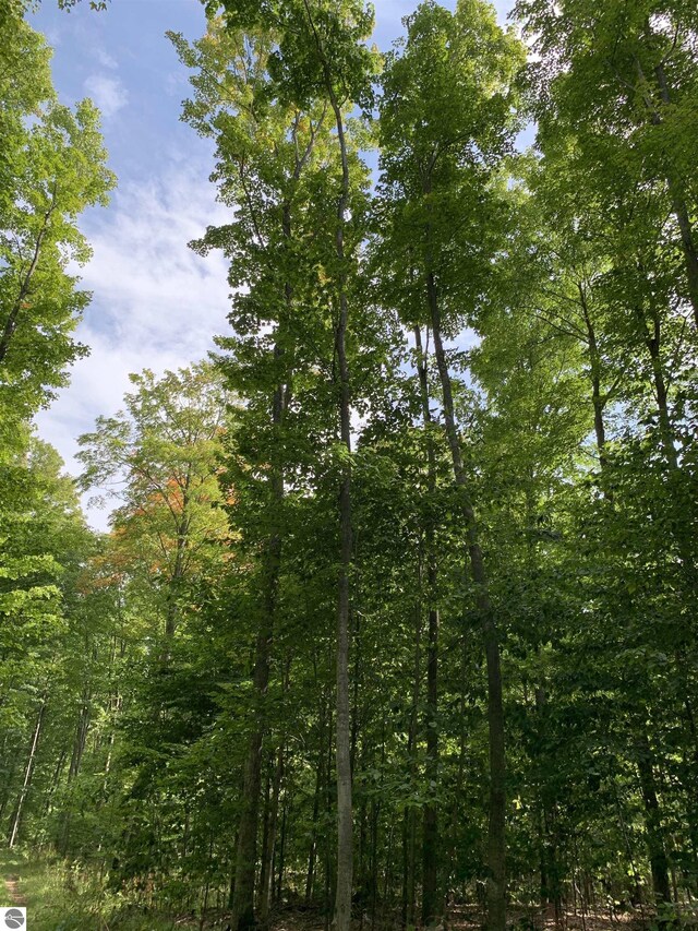 00 Keiser Rd, Levering, MI 49755