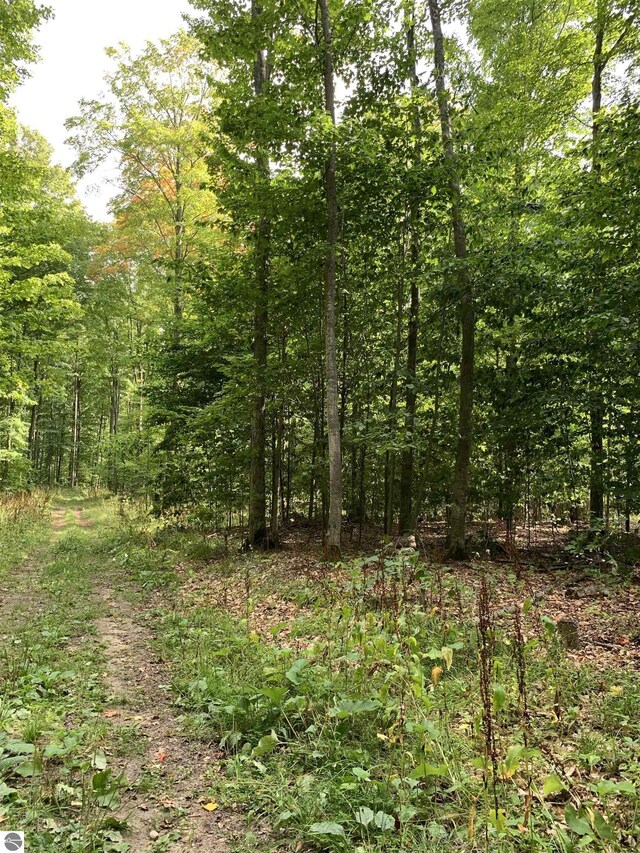 00 Keiser Rd, Levering, MI 49755