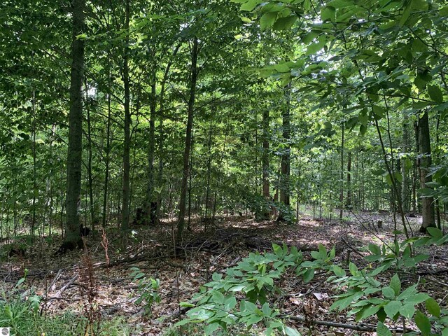 00 Keiser Rd, Levering, MI 49755