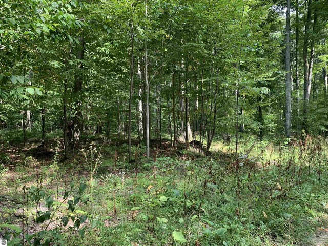 00 Keiser Rd, Levering, MI 49755