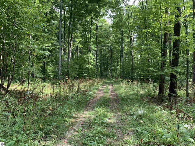 00 Keiser Rd, Levering, MI 49755
