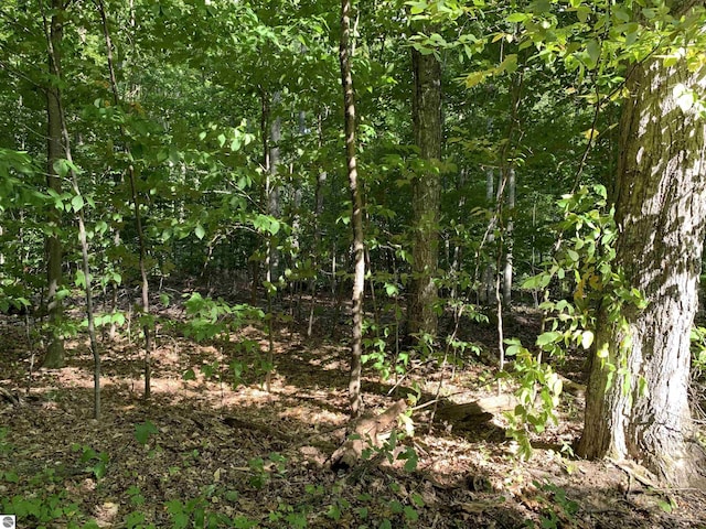 00 Keiser Rd, Levering, MI 49755