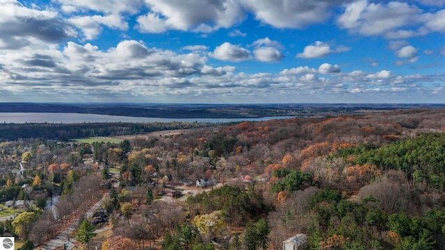 birds eye view of property with a forest view and a water view