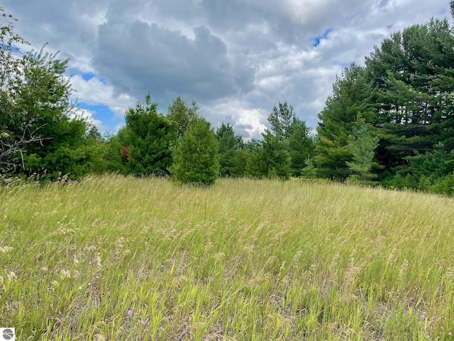 969 Quail Dr, Kalkaska, MI 49646