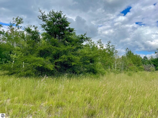 969 Quail Dr, Kalkaska, MI 49646