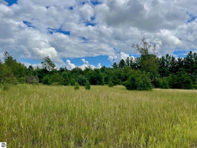 969 Quail Dr, Kalkaska, MI 49646
