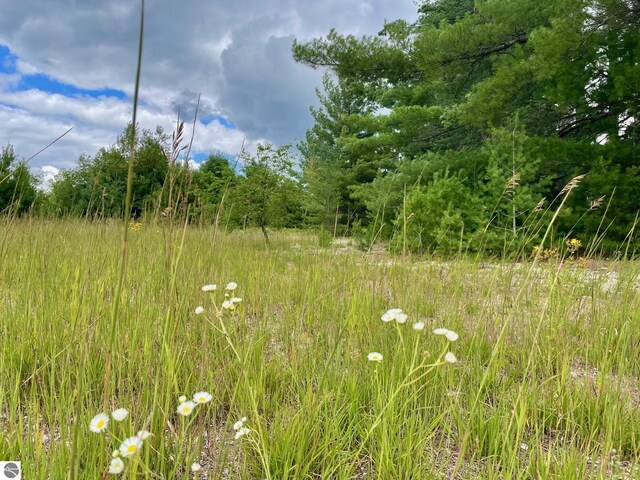 969 Quail Dr, Kalkaska, MI 49646