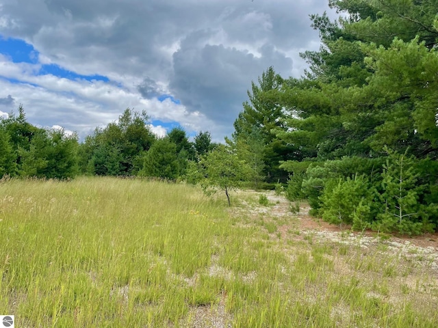 969 Quail Dr, Kalkaska, MI 49646