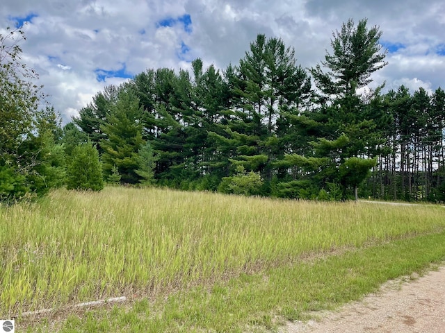 969 Quail Dr, Kalkaska, MI 49646