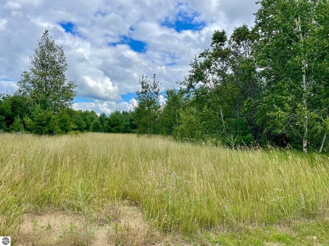 969 Quail Dr, Kalkaska, MI 49646