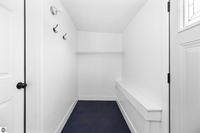 419 S Cherry St, Kalkaska, MI 49646 - view of walk in closet