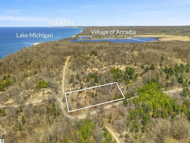 15380 Lake Bluff Dr, Arcadia, MI 49613