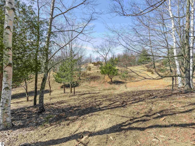 15380 Lake Bluff Dr, Arcadia, MI 49613