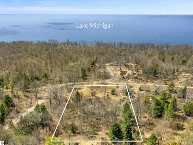 15380 Lake Bluff Dr, Arcadia, MI 49613