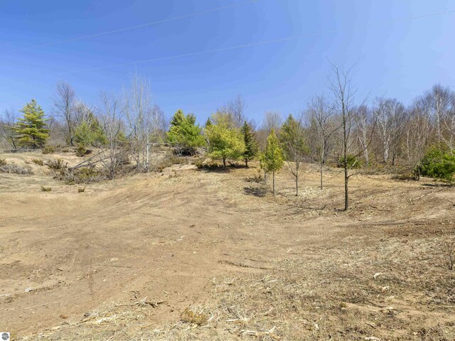 15380 Lake Bluff Dr, Arcadia, MI 49613
