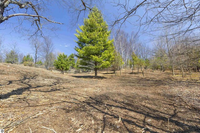 15380 Lake Bluff Dr, Arcadia, MI 49613