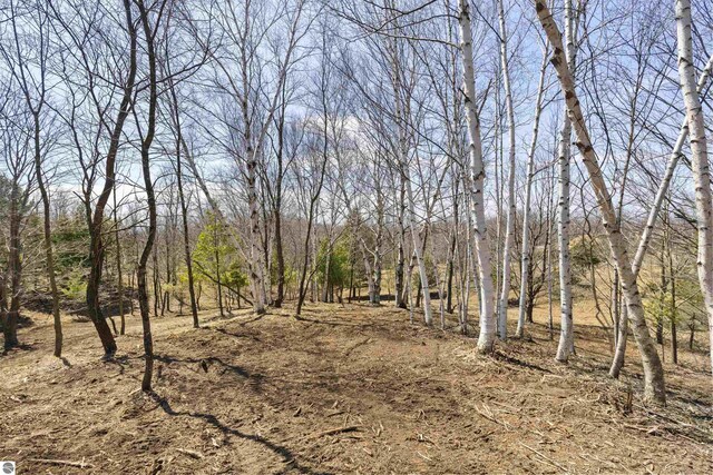15380 Lake Bluff Dr, Arcadia, MI 49613
