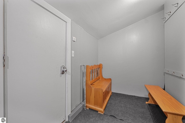 interior space featuring carpet and lofted ceiling
