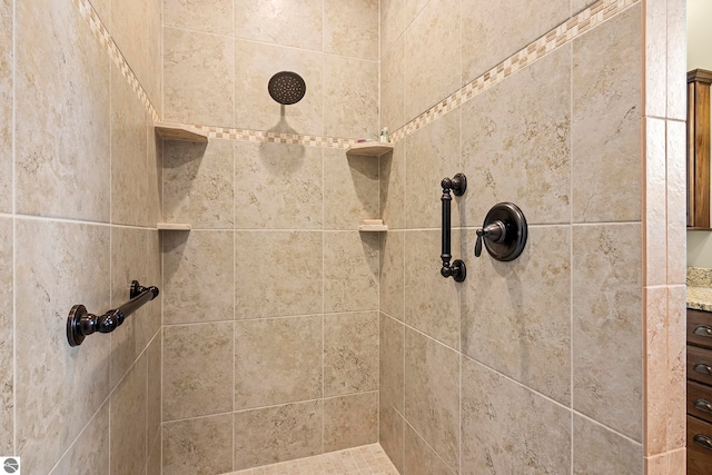 4584 Kodiak Dr, Traverse City, MI 49685 - details with tiled shower