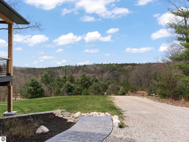 5242 W Big Sky Trl, Cadillac, MI 49601 - view of grassy yard featuring a view of trees