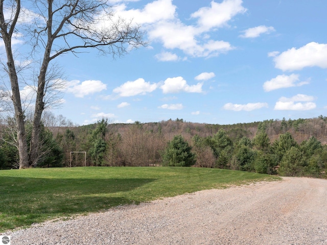 5242 W Big Sky Trl, Cadillac, MI 49601 - view of dirt / gravel road with a forest view
