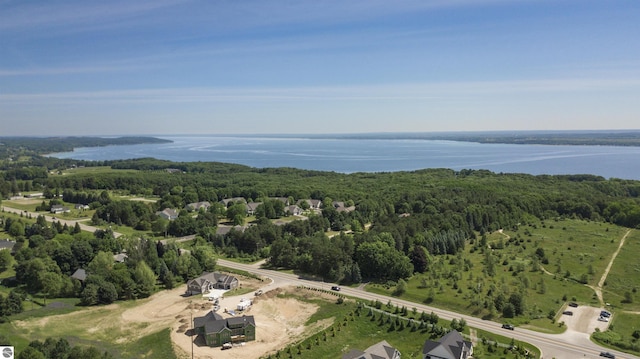 203 Vineyard Ridge Dr Unit 38, Traverse City, MI 49686 - drone / aerial view with a view of trees and a water view