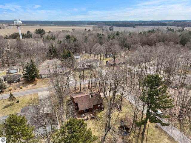 drone / aerial view