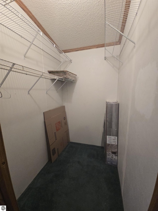 1215 S W County Line Rd, Sumner, MI 48889 - view of spacious closet