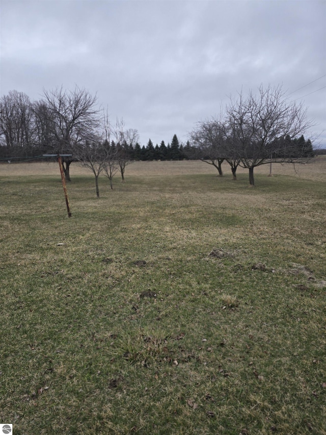 1215 S W County Line Rd, Sumner, MI 48889 - view of yard with a rural view