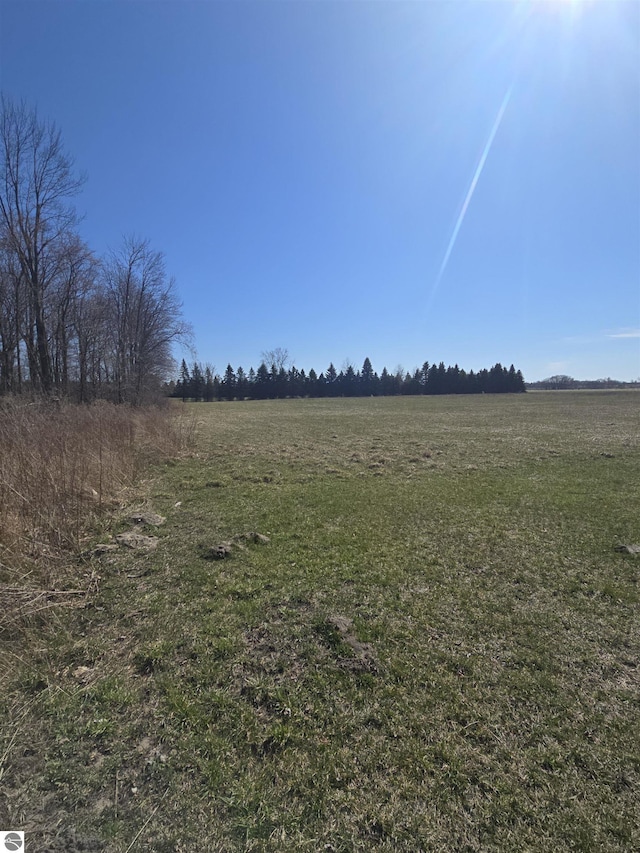 1215 S W County Line Rd, Sumner, MI 48889 - view of local wilderness featuring a rural view