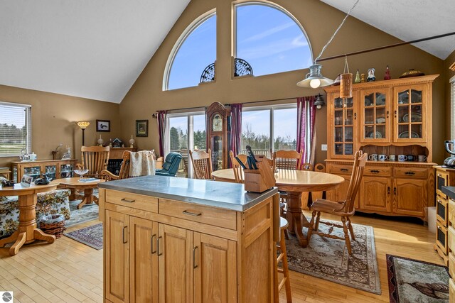 13019 Elk Tip Dr, Rapid City, MI 49676 - kitchen featuring a healthy amount of sunlight, light wood-type flooring, high vaulted ceiling, and glass insert cabinets
