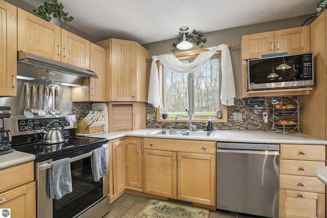 2000 Granada Ct, Weidman, MI 48893 - kitchen featuring appliances with stainless steel finishes, a sink, light brown cabinets, and under cabinet range hood