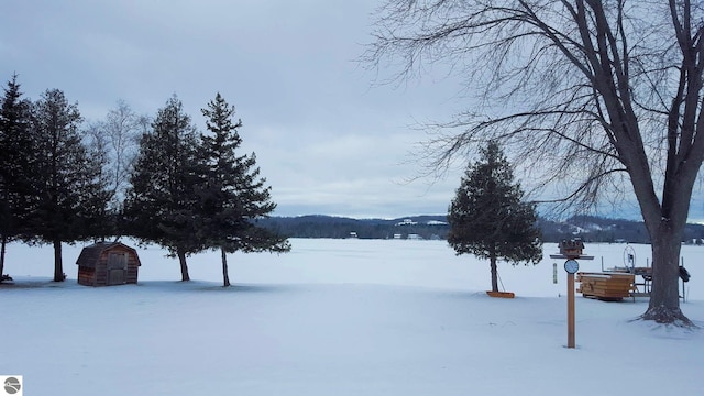 view of yard layered in snow
