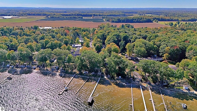1900 Pavilion Dr, Lake City, MI 49651 - birds eye view of property