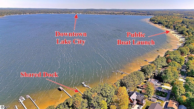 1900 Pavilion Dr, Lake City, MI 49651 - birds eye view of property with a water view