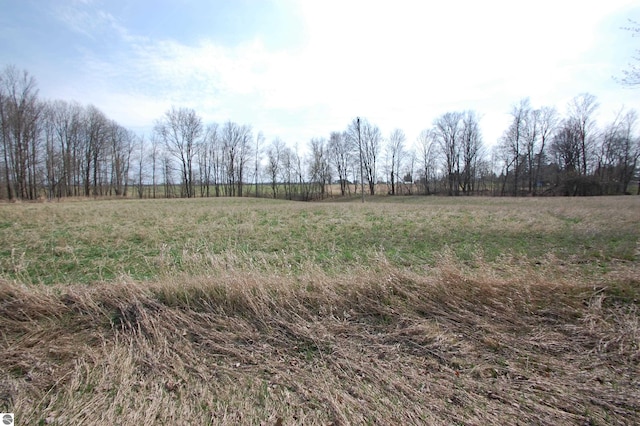 5525 S Mccauley Rd, Alger, MI 48610 - view of local wilderness with a rural view
